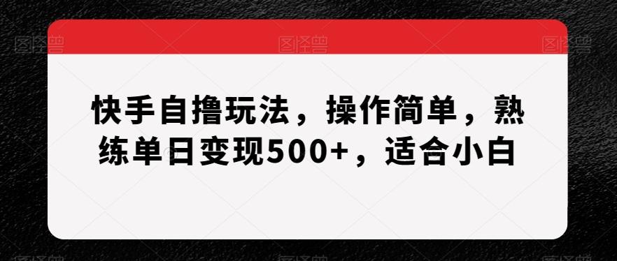 快手自撸玩法，操作简单，熟练单日变现500+，适合小白【揭秘】-test