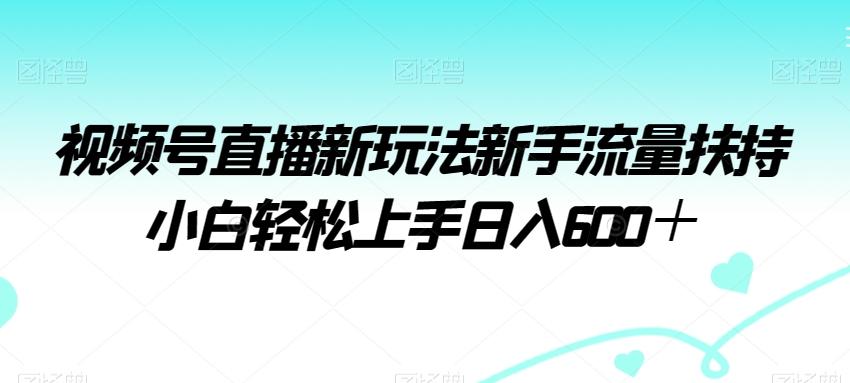 视频号直播新玩法新手流量扶持小白轻松上手日入600＋【揭秘】-test