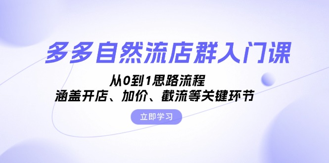 多多自然流店群入门课，从0到1思路流程，涵盖开店、加价、截流等关键环节-test