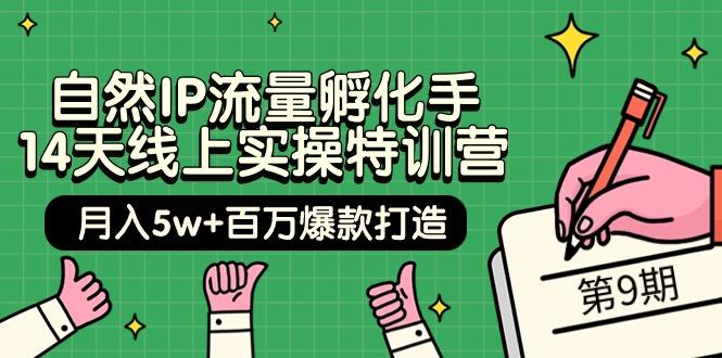 (9881期)自然IP流量孵化手 14天线上实操特训营【第9期】月入5w+百万爆款打造 (74节)-test