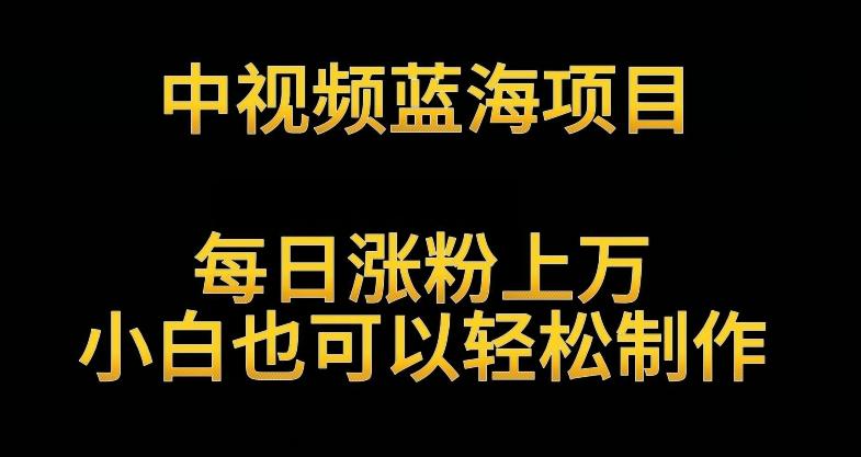 中视频蓝海项目，解读英雄人物生平，每日涨粉上万，小白也可以轻松制作，月入过万不是梦【揭秘】-test
