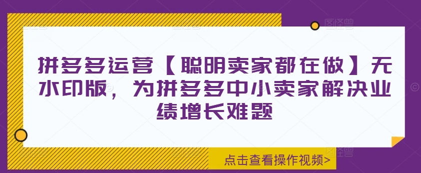 拼多多运营【聪明卖家都在做】无水印版，为拼多多中小卖家解决业绩增长难题-test