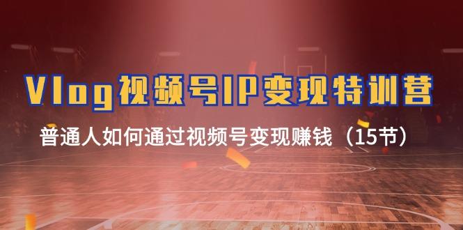 Vlog 视频号IP变现特训营，普通人如何通过视频号变现赚钱(15节-test