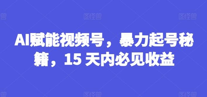 AI赋能视频号，暴力起号秘籍，15 天内必见收益【揭秘】-test