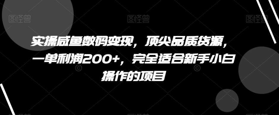 实操咸鱼数码变现，顶尖品质货源，一单利润200+，完全适合新手小白操作的项目【揭秘】-test