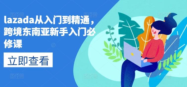 lazada从入门到精通，跨境东南亚新手入门必修课-test