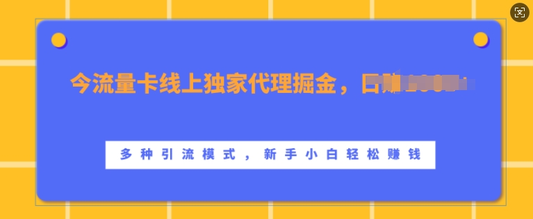 流量卡线上独家代理掘金，日入1k+ ，多种引流模式，新手小白轻松上手【揭秘】-test