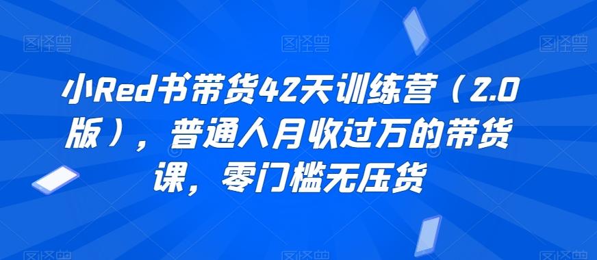 小Red书带货42天训练营(2.0版)，普通人月收过万的带货课，零门槛无压货-test