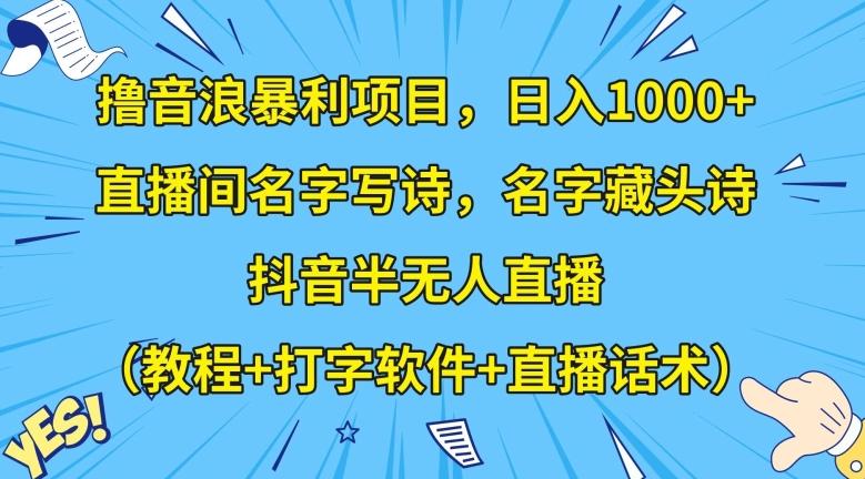 撸音浪暴利项目，日入1000+，直播间名字写诗，名字藏头诗，抖音半无人直播（教程+打字软件+直播话术）【揭秘】-test