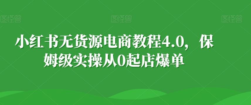 小红书无货源电商教程4.0，保姆级实操从0起店爆单【拆解】-test