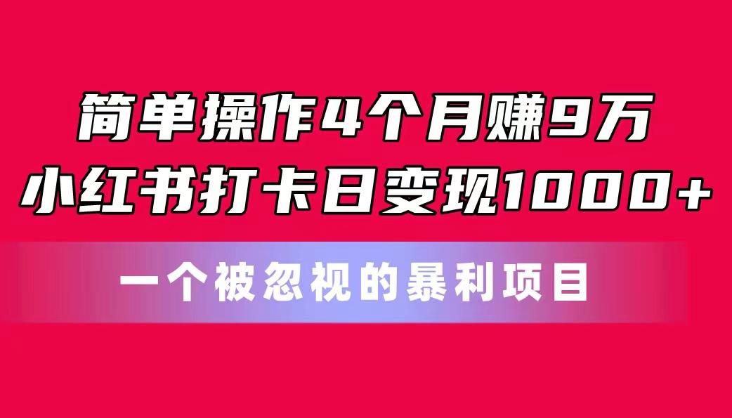 简单操作4个月赚9万！小红书打卡日变现1000+！一个被忽视的暴力项目-test