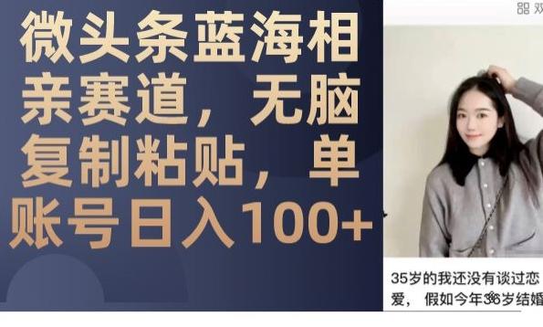 微头条蓝海相亲赛道，无脑复制粘贴，单账号日入100+-test