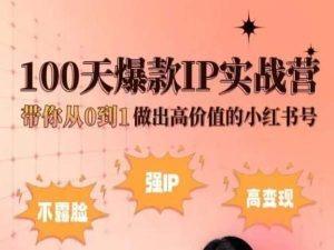 小红书100天爆款IP实战营，带你从0到1做出高价值的小红书号-test