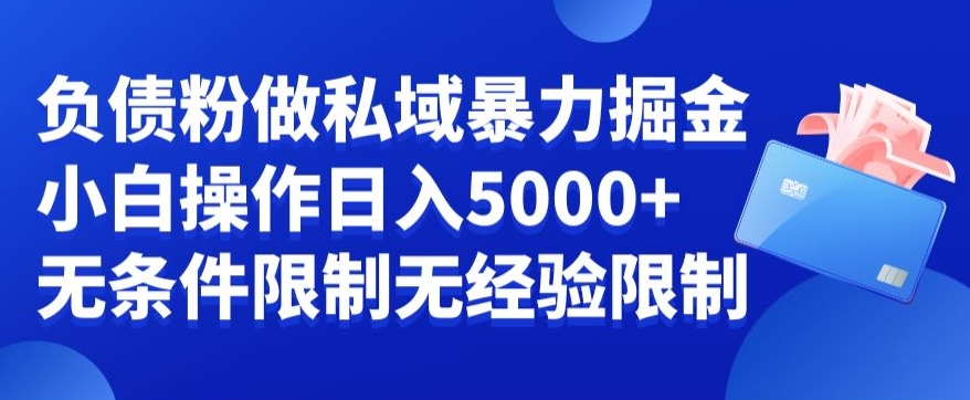 负债粉私域暴力掘金，小白操作入5000，无经验限制，无条件限制【揭秘】-test