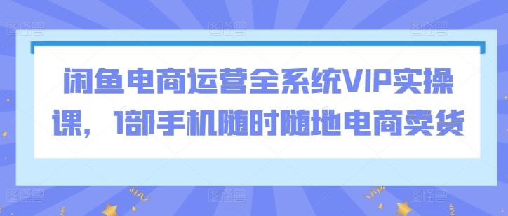 闲鱼电商运营全系统VIP实操课，1部手机随时随地电商卖货-test