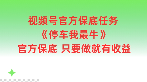 视频号官方保底任务，停车我最牛，官方保底只要做就有收益【揭秘】-test