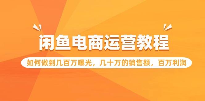(9560期)闲鱼电商运营教程：如何做到几百万曝光，几十万的销售额，百万利润-test