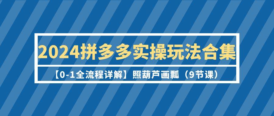 (9559期)2024拼多多实操玩法合集【0-1全流程详解】照葫芦画瓢(9节课)-test