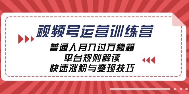 视频号运营训练营：普通人月入过万秘籍，平台规则解读，快速涨粉与变现-test