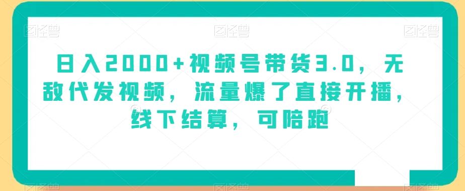日入2000+视频号带货3.0，无敌代发视频，流量爆了直接开播，线下结算，可陪跑-test