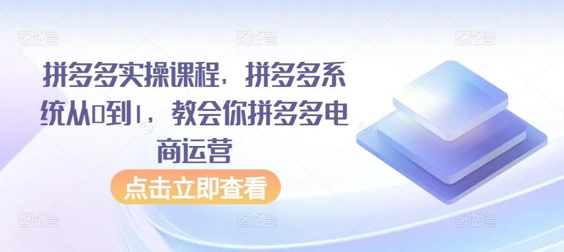 拼多多实操课程，拼多多系统从0到1，教会你拼多多电商运营-test