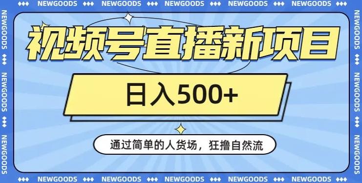 视频号直播新项目，通过简单的人货场，狂撸自然流，日入500+【260G资料】-test