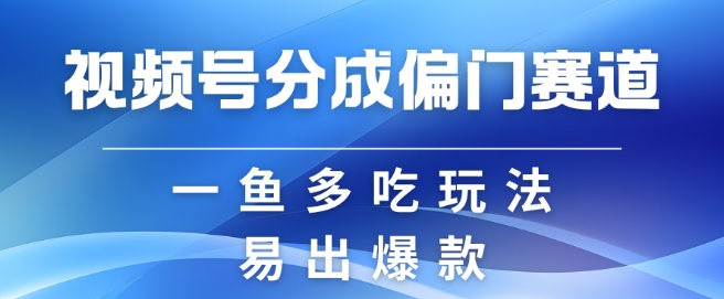 视频号创作者分成计划偏门类目，容易爆流，实拍内容简单易做【揭秘】-test