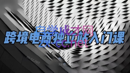团长·跨境电商独立站入门课(2小时精华)-test