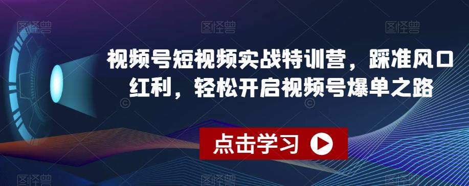 视频号短视频实战特训营，踩准风口红利，轻松开启视频号爆单之路-test