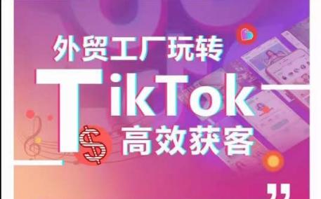 外贸工厂玩转TikTok高效获客，多种引流方式与账号定位技巧，拆解爆款短视频打造成功案例-test