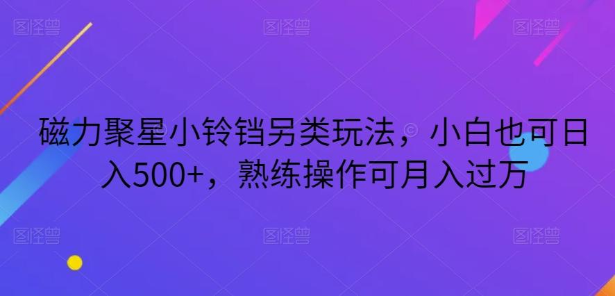 磁力聚星小铃铛另类玩法，小白也可日入500+，熟练操作可月入过万-test