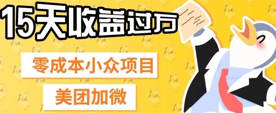 零成本小众项目，美团加微，一单4.5+，15天已经有人赚上万收益-test