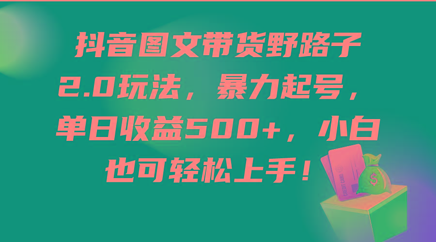 (9790期)抖音图文带货野路子2.0玩法，暴力起号，单日收益500+，小白也可轻松上手！-test