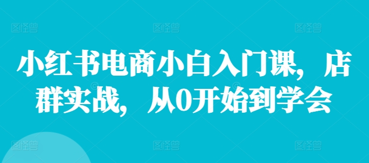 小红书电商小白入门课，店群实战，从0开始到学会-test