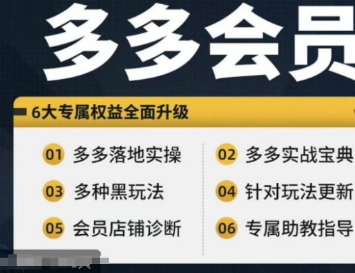 拼多多会员，拼多多实战宝典+实战落地实操，从新手到高阶内容全面覆盖-test