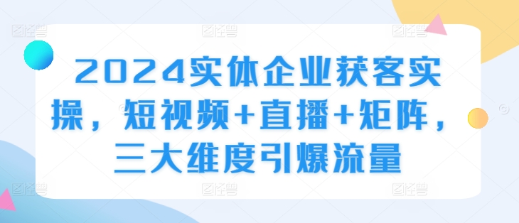 2024实体企业获客实操，短视频+直播+矩阵，三大维度引爆流量-test