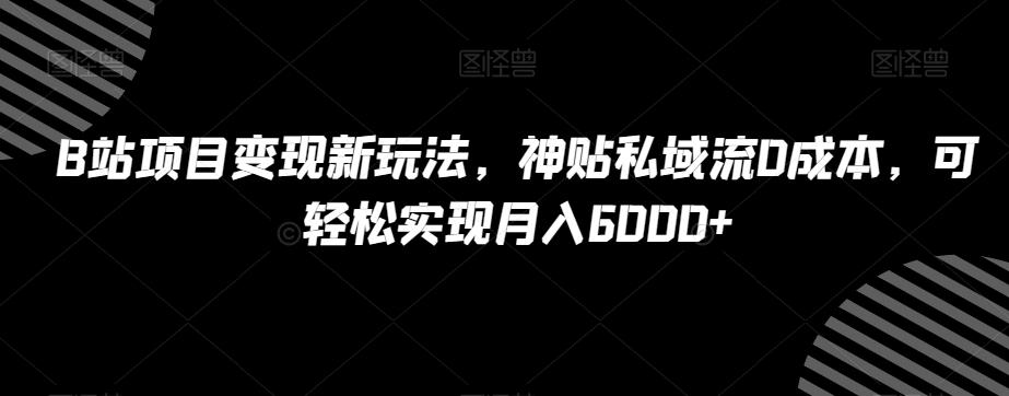 B站项目变现新玩法，神贴私域流0成本，可轻松实现月入6000+【揭秘】-test