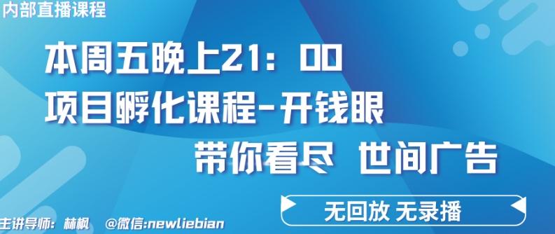 4.26日内部回放课程《项目孵化-开钱眼》赚钱的底层逻辑【揭秘】-test
