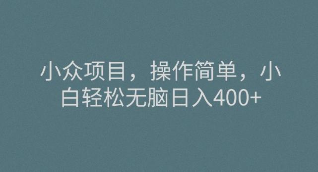 小众项目，操作简单，小白轻松无脑日入400+-test