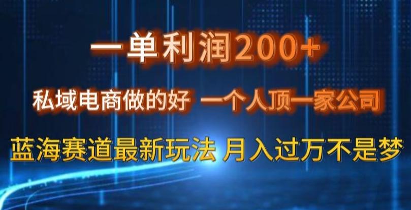 一单利润200私域电商做的好，一个人顶一家公司蓝海赛道最新玩法【揭秘】-test