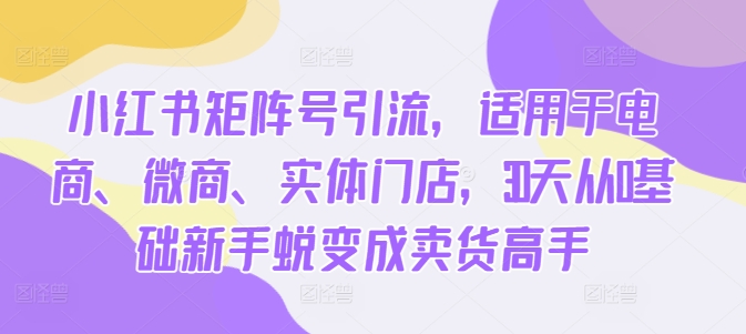 小红书矩阵号引流，适用于电商、微商、实体门店，30天从0基础新手蜕变成卖货高手-test