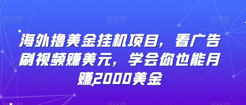 海外撸美金挂机项目，看广告刷视频赚美元，学会你也能月赚2000美金-test