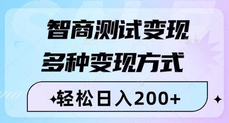 智商测试变现，轻松日入200+，几分钟一个视频，多种变现方式-test
