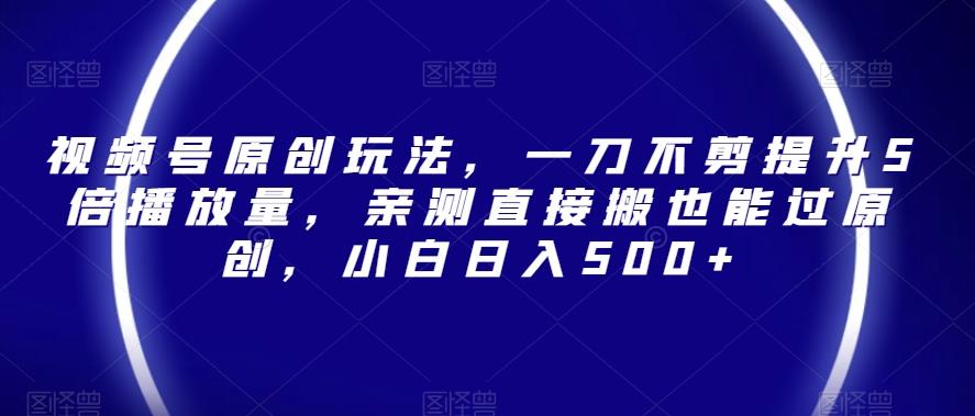 视频号原创玩法，一刀不剪提升5倍播放量，亲测直接搬也能过原创，小白日入500+【揭秘】-test