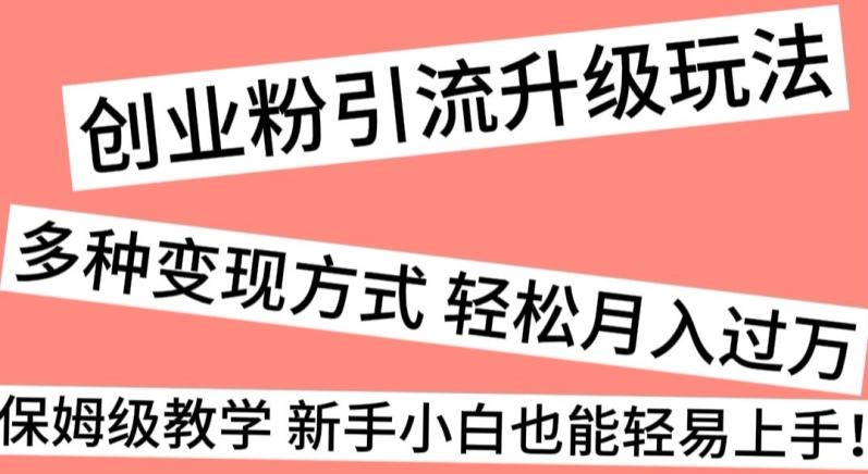 创业粉引流升级玩法，多种变现方式轻松月入过万，保姆级教学新手小白也能轻易上手！-test