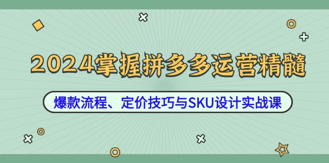 2024掌握拼多多运营精髓：爆款流程、定价技巧与SKU设计实战课-test