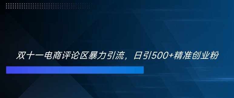 双十一电商评论区暴力引流，日引500+精准创业粉【揭秘】-test
