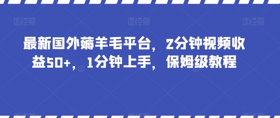 最新国外薅羊毛平台，2分钟视频收益50+，1分钟上手，保姆级教程【揭秘】-test