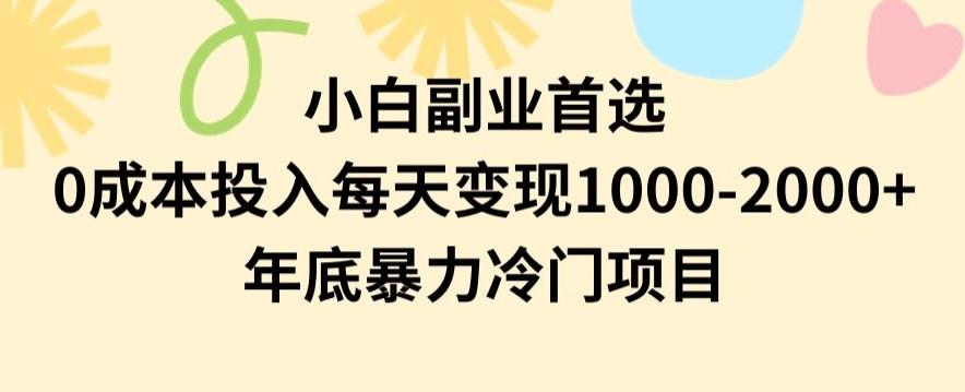 小白副业首选，0成本投入，每天变现1000-2000年底暴力冷门项目【揭秘】-test