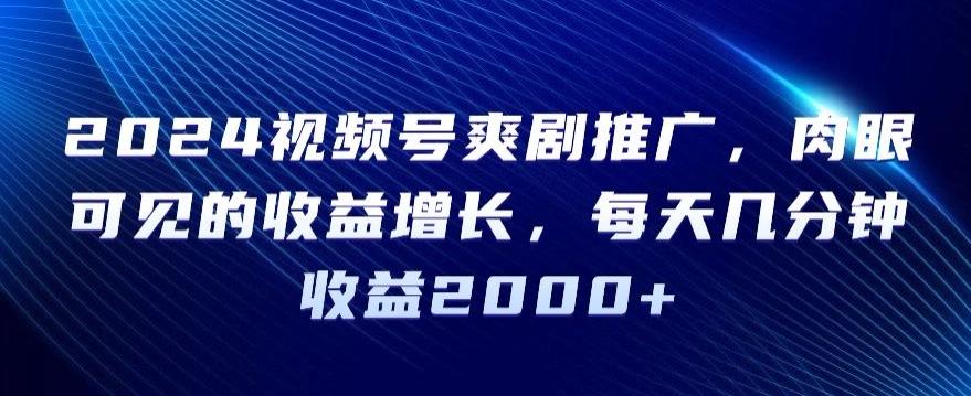 2024视频号爽剧推广，肉眼可见的收益增长，每天几分钟收益2000+【揭秘】-test